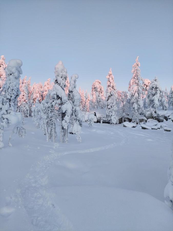 Villa Latvus Rovaniemi Eksteriør bilde